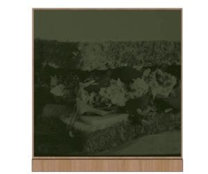 Image of a convenience store graphic panel for prepared food deli sandwich with a green tint and wood-look frame on top and bottom.