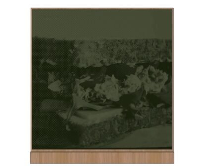 Image of a convenience store graphic panel for prepared food deli sandwich with a green tint and wood-look frame on top and bottom.